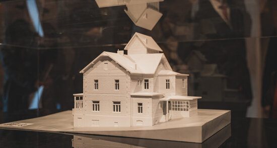 Příběh Arnoldovy vily